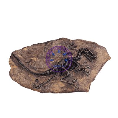 仿恐龍化石標本