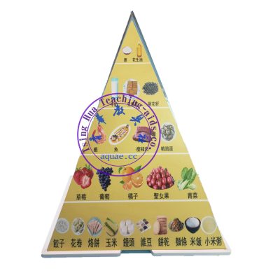 迷你食物金字塔 Mini Food Pyramid