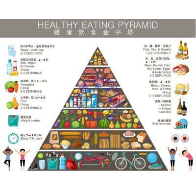 食物金字塔掛圖 Hanging Food Pyramid Poster 80*70cm