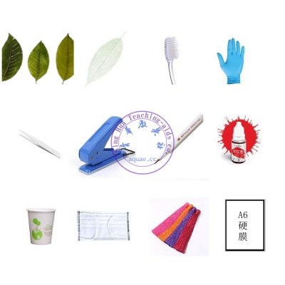 葉脈書簽DIY材料套裝 (40人份) DIY Leaf Vein Bookmark Kit