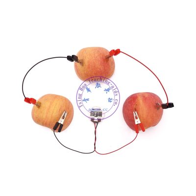 簡易水果電池(電荷移動產生電流)