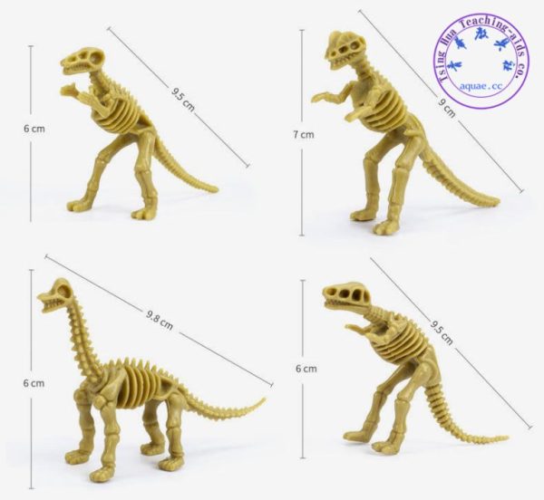 DIY恐龍骨骼黏土12款套裝：圖片 6