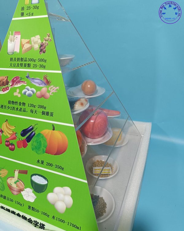 健康食物金字塔 (含24種食物模型) Healthy Food Pyramid：圖片 3