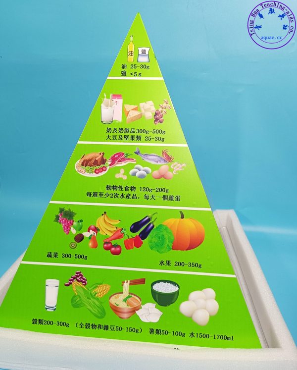 健康食物金字塔 (含24種食物模型) Healthy Food Pyramid：圖片 2