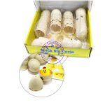 小雞生命周期孵化模型 Chick Life Cycle Game