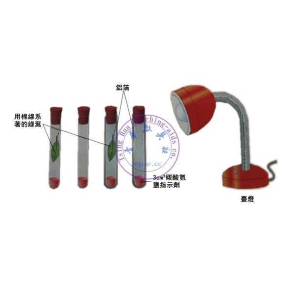 探究綠色植物吸入和釋出二氧化碳情況實驗套裝 Experiment kit for exploring the inhalation and release of carbon dioxide by green plants