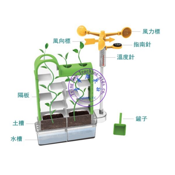 植物迷宮diy生物種植種子材料包 DIY Growing Plant Maze