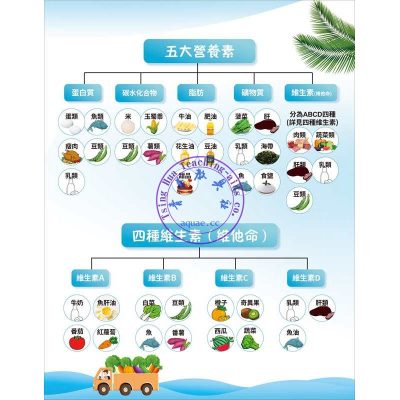 營養素掛圖 Understanding Nutrition Poster