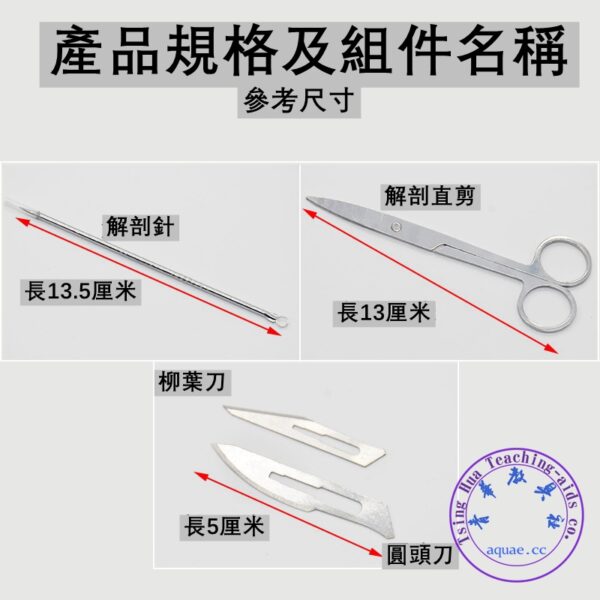 生物解剖7件套 Anatomy Dissecting Set：圖片 3