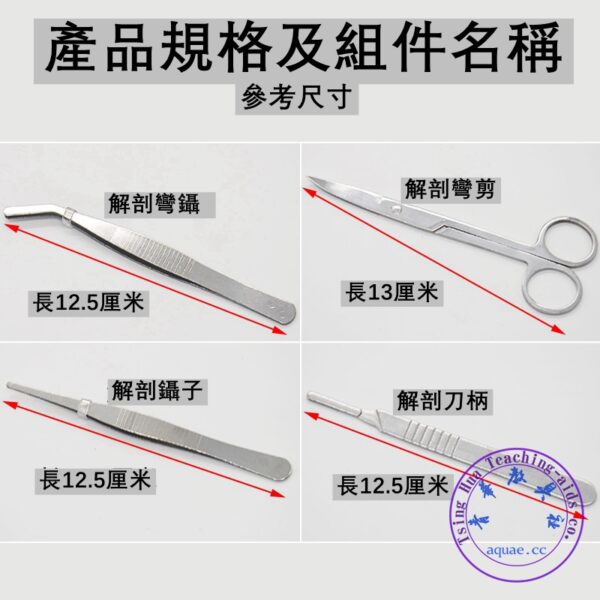 生物解剖7件套 Anatomy Dissecting Set：圖片 4