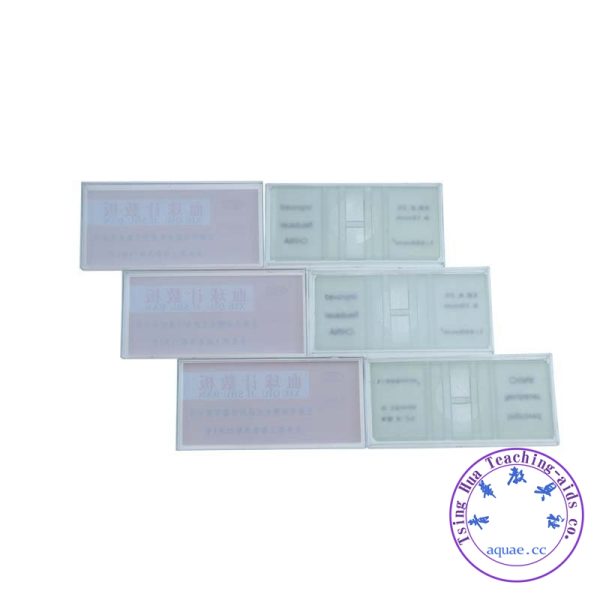 細胞計數板 Blood Counting Chamber with 100 Cover Slips：圖片 2