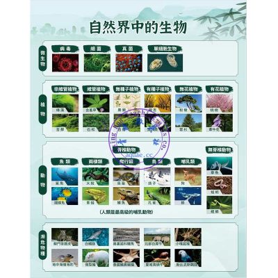 自然界中的生物掛圖 Natural Creatures Poster