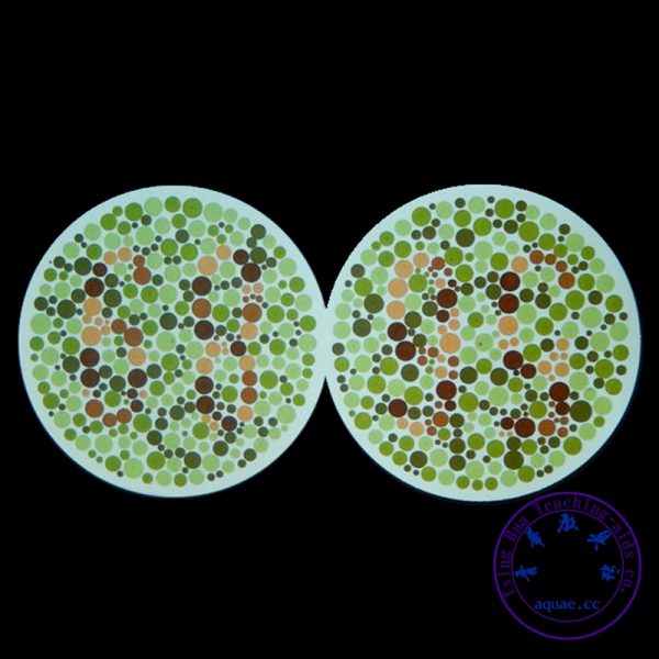 色盲測試圖冊 Color Blindness Test：圖片 2