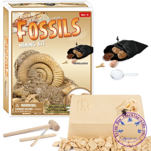 DIY化石挖掘Fossils Model Mining Kit：圖片 4