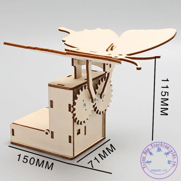 電動機械仿生蝴蝶（電能轉化爲動能）：圖片 3