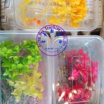 浮游花DIY植物標本：圖片 3