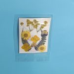 DIY滴膠模具幹花杯墊：圖片 5